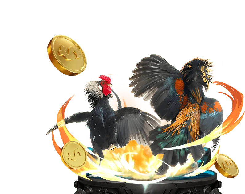 Tổng quan nền tảng Bồ 67