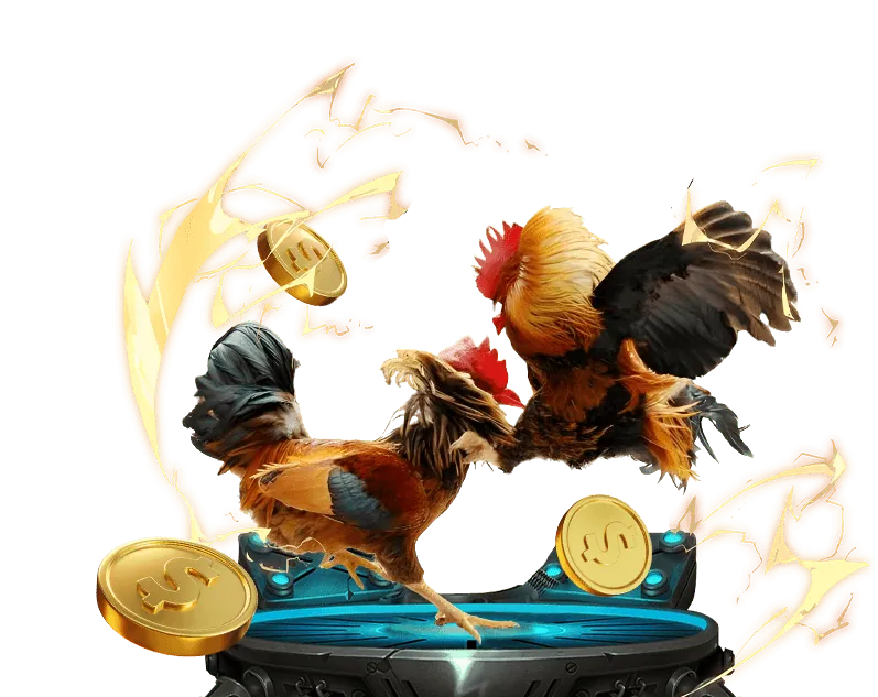 Chiến lược cá cược đá gà hiệu quả